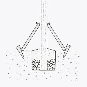 Black and white illustration of repositioned and repaired wooden post using supports, hardcore and c