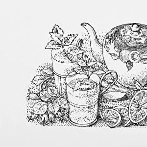 Black and white illustration of teapot, mint tea, sliced lemon, and herb leaves