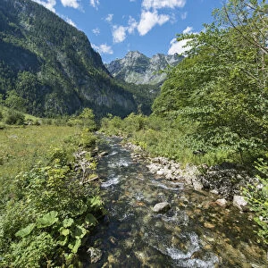 Brook in front of the Watzmann massif, St. Bartholoma in Konigssee, Berchtesgaden National Park, Berchtesgadener Land district, Upper Bavaria, Bavaria, German
