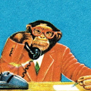 Businessman Monkey on the Phone