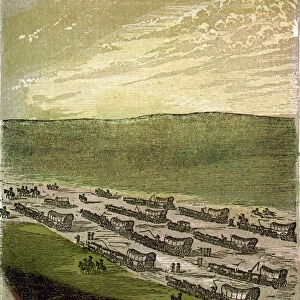 Caravan of Immigrants