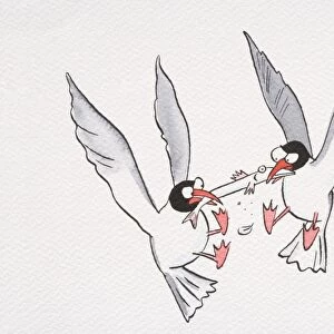 A cartoon of two seagulls fighting for food