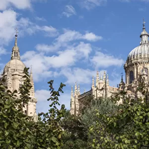 Cathedrals of Salamanca