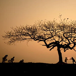 Children playing under lonely tree