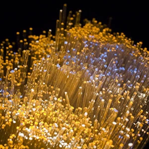 Close-up of fibre optics