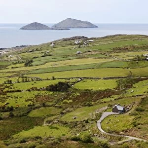 Coastline, Deenish Island and Scariff Island, view from Cahernageeha, Ring of Kerry, County Kerry, Ireland, British Isles, Europe