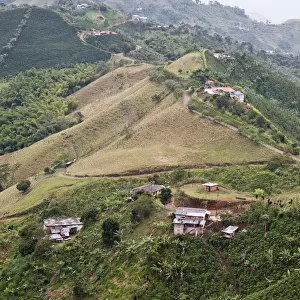 Coffee plantations in hilly landscape