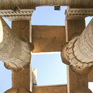 Columns of the Temple of Isis