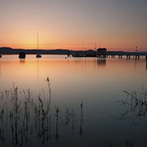 Dawn in Dingelsdorf on Lake Constance, Baden-Wuerttemberg, Germany, Europe