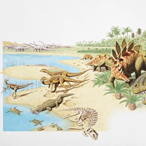 Dinosaurs in natural habitat