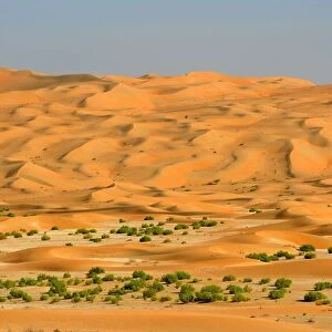 A Dry River Bed (Wadi) Through a Dune Field in the Desert