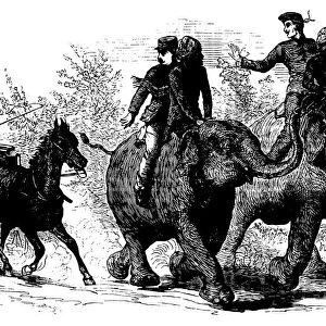 Elephant transportation - The Illustrated London News
