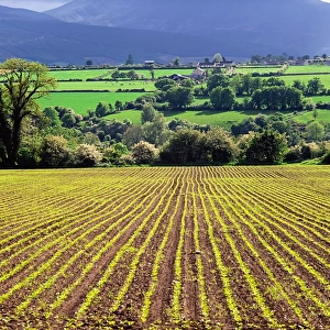 Farmscape, Ireland