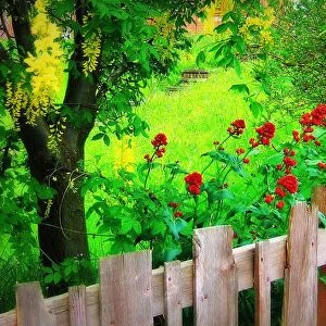 Behind fence