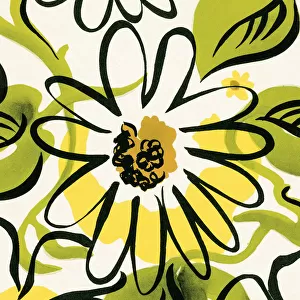 Floral Pattern Art Mounted Print Collection: Flower Pattern Illustrations