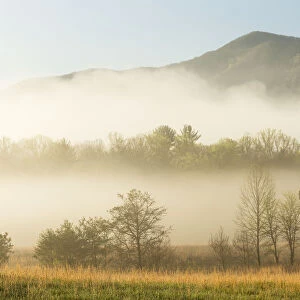 Foggy morning, Cades Cove, Great Smoky Mountains National Park, Tennessee, USA