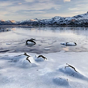 Frozen fjord in winter, Lofoten, Norway