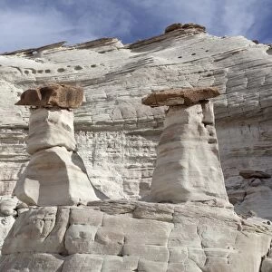 Hoodoos, pillars of limestone rock, White Rocks, Page, Utah, USA