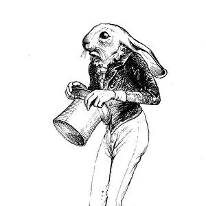 Humanized animals illustrations: Rabbit