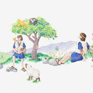 Illustration of a bible scene, 1 Samuel 16, David, a shepherd, looking after his flock