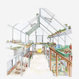 Illustration of a greenhouse