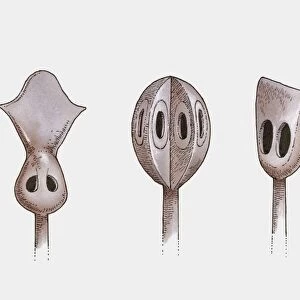 Illustration of three Mongolian whistling arrowheads