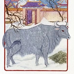 Illustration Ox Outside the Gate, representing Chinese Year Of The Ox