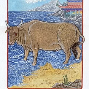 Illustration of Ox in the Sea, representing Chinese Year Of The Ox