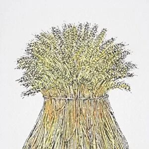 Illustration, sheaf of wheat standing upright
