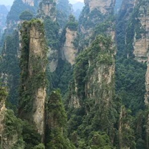 Impressive sandstone pillars in Yuangjiajie area
