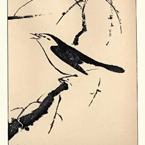 Japanese Art, Bird by Shunboku