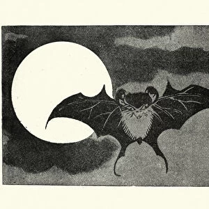 Japanesse Art, Bat flying across face of the moon