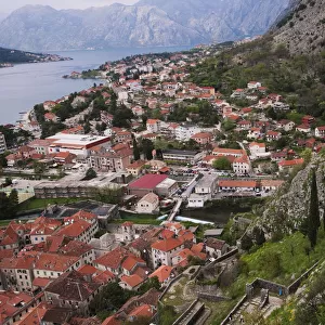 Kotor Seen From Mountain
