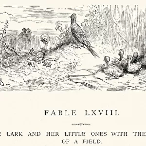 La Fontaines Fables - The Lark and her little ones