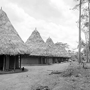 Liberian Village