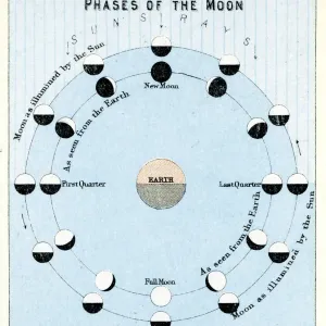 Phases of the Moon Vintage Engraving Print, 1891 Phases of the Moon Vintage Engraving Print, 1891
