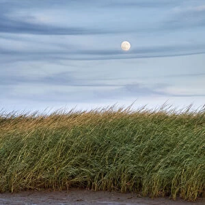 Full moon rising at First Encounter Beach, Cape Cod, Massachusetts, USA