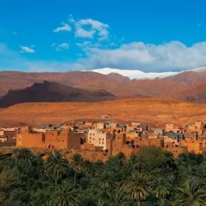 Moroccan Oasis