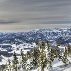 Mountainous landscape, Mt, Washington Ski Resort bordering Strathcona Provincial Park, Vancouver Island, British Columbia, Canada