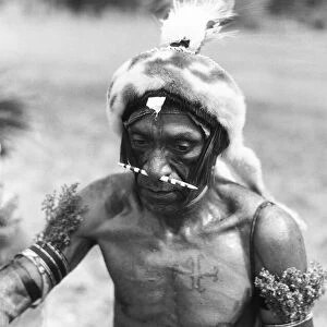New Guinea warrior