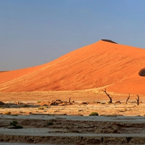 Panoramic view of Namib Desert Africa