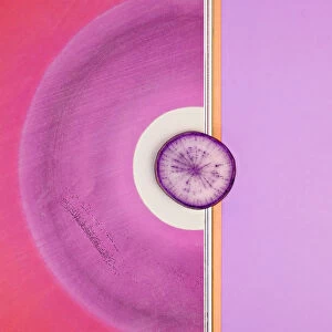 Purple daikon radish with abstract background