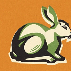 Rabbit on an Orange Background