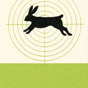 Rabbit in scope