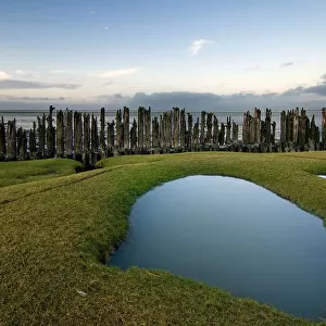 Remnants of human activity in tidal coastal area at Dutch northcoast
