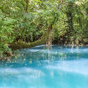 Rio Celeste river in the green forest of Costa Rica