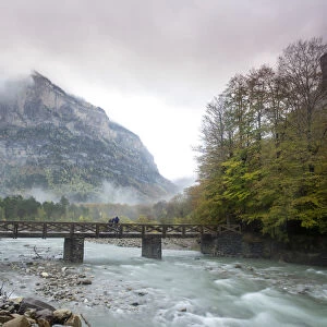 River of mountain with a bridge of wood a rainy day in autumn
