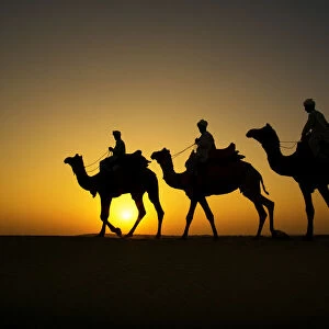 Silhouette of camel caravan at Sam sand dune, Jaisalmer, Rajasthan, India