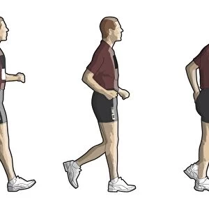 Four stages of person race walking
