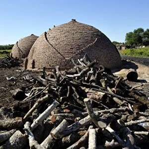 Stove and firewood, logging, charcoal production, Chaco, Santiago del Estero Province, Argentina, South America